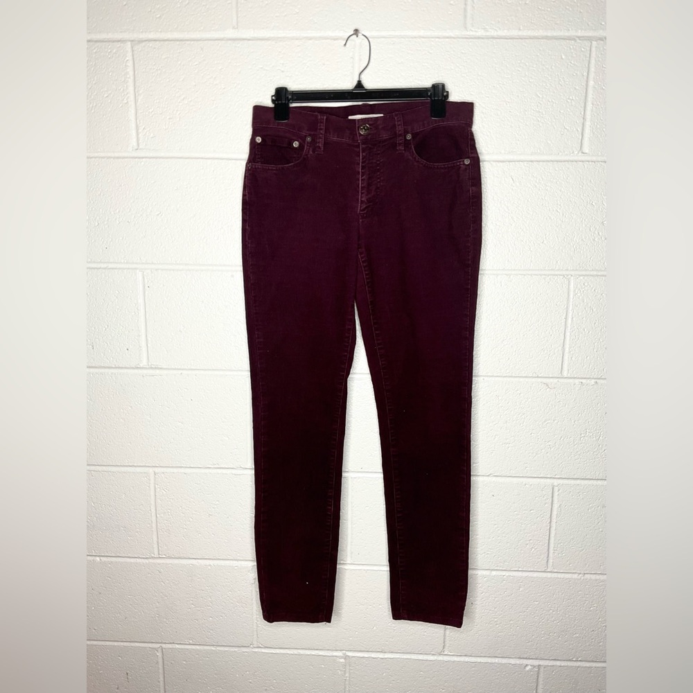 < Fossil Purple Straight Leg Corduroy Pants >